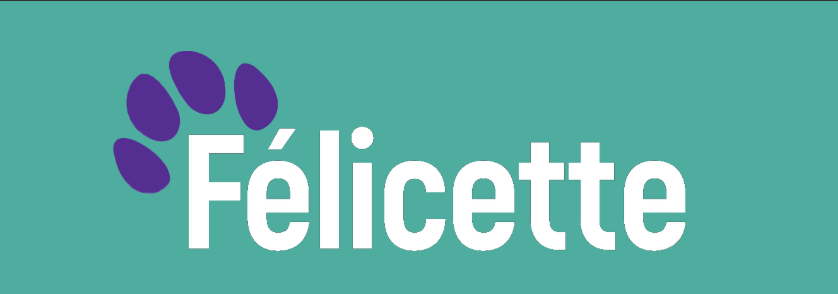 Фелисет logo